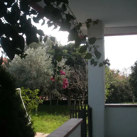 Ada *